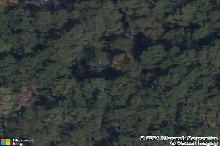 305 windfall rd, blythewood,  SC 29016