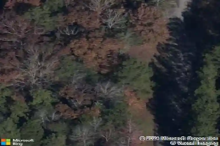 370 autumn pond dr, blythewood,  SC 29016