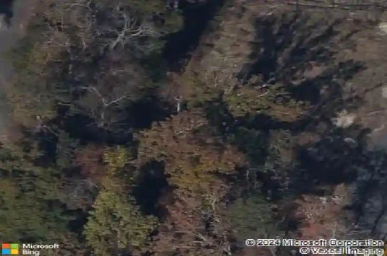 209 quiet side ct, blythewood,  SC 29016