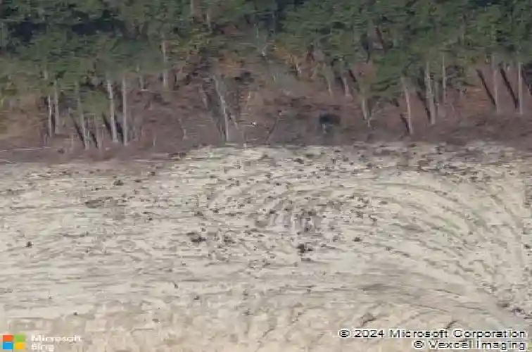 290 windfall rd, blythewood,  SC 29016