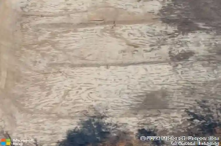 425 spruce knob ln, blythewood,  SC 29016