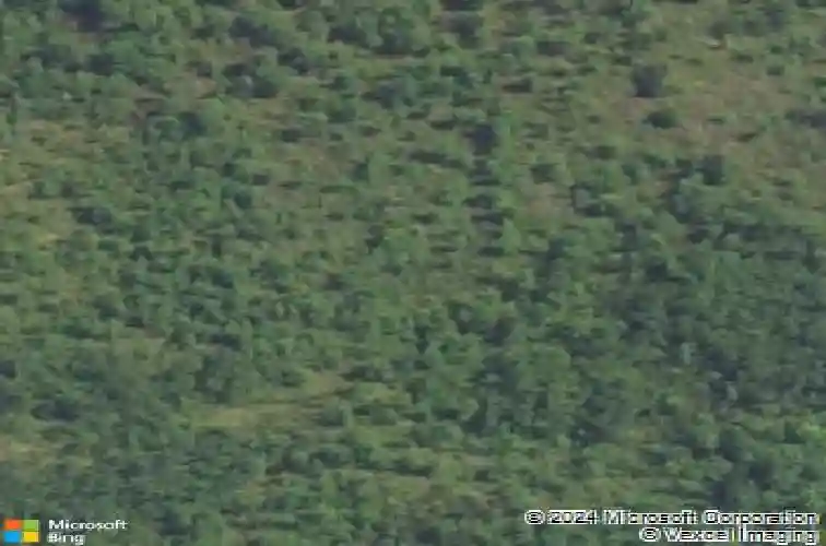 184 wahoo cir, irmo,  SC 29063