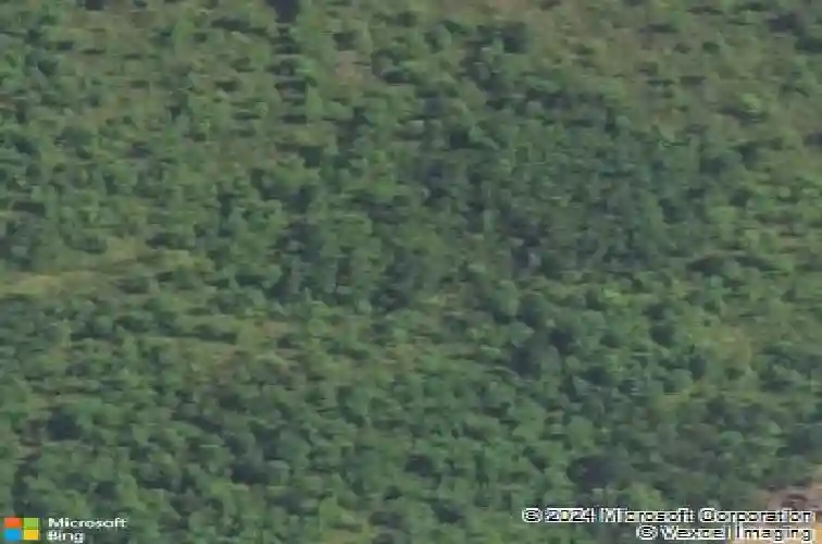 180 wahoo cir, irmo,  SC 29063