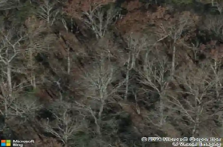 409 stone hollow dr, irmo,  SC 29063