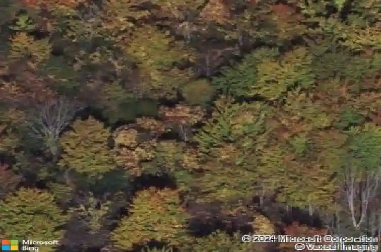 4386 oak ridge trl, brunswick,  OH 44212