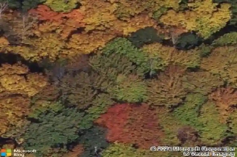 4449 oak ridge trl, brunswick,  OH 44212