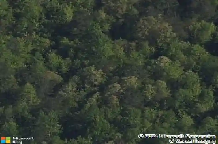 6546 gopher rd, lancaster,  SC 29720