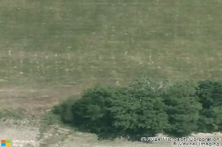 111 carreras ln, maurice,  LA 70555