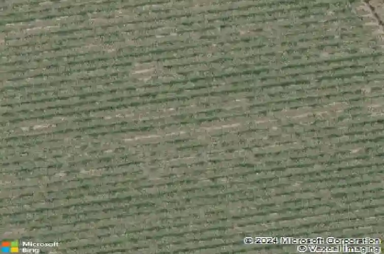 3421 magnolia cove ct, maurice,  LA 70555