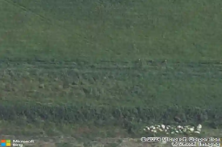 2196 royal oak ridge rd, marion,  IA 52302