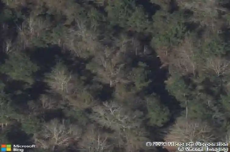  new caney,  TX 77357