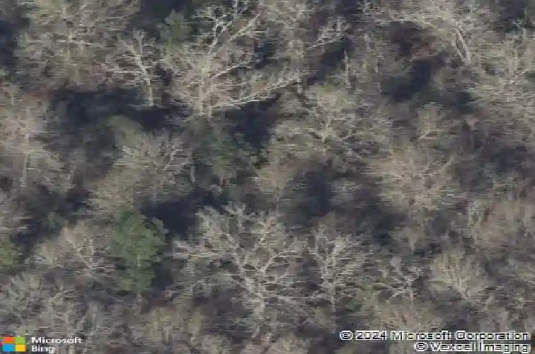 conroe,  TX 77301