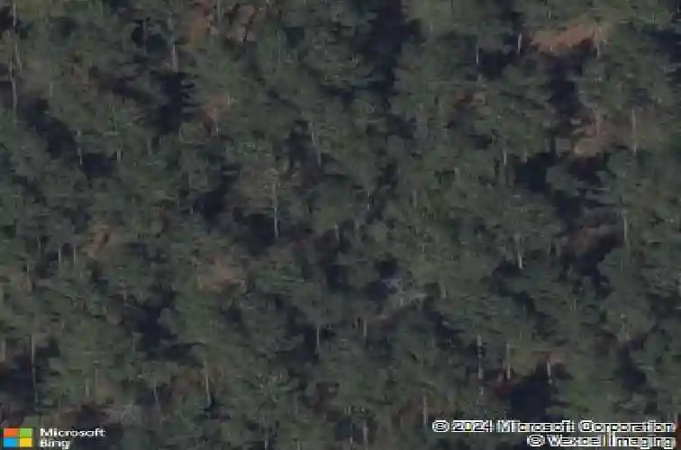  splendora,  TX 77372