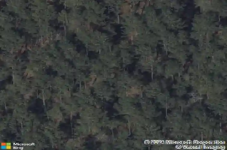  splendora,  TX 77372