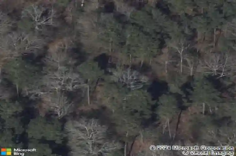  splendora,  TX 77372