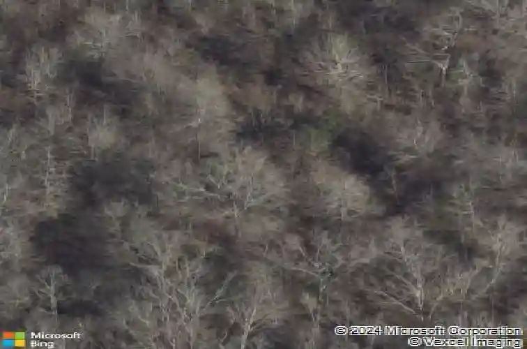  new caney,  TX 77357