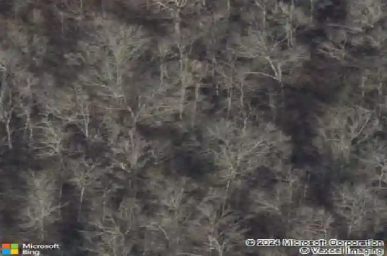  new caney,  TX 77357