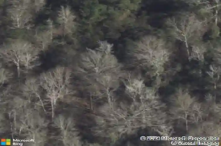  new caney,  TX 77357