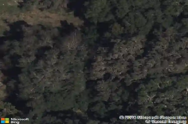 3623 umbrella tree ln, oxford,  FL 34484