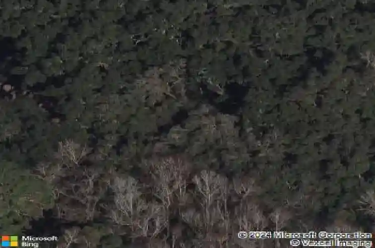 3607 umbrella tree ln, oxford,  FL 34484