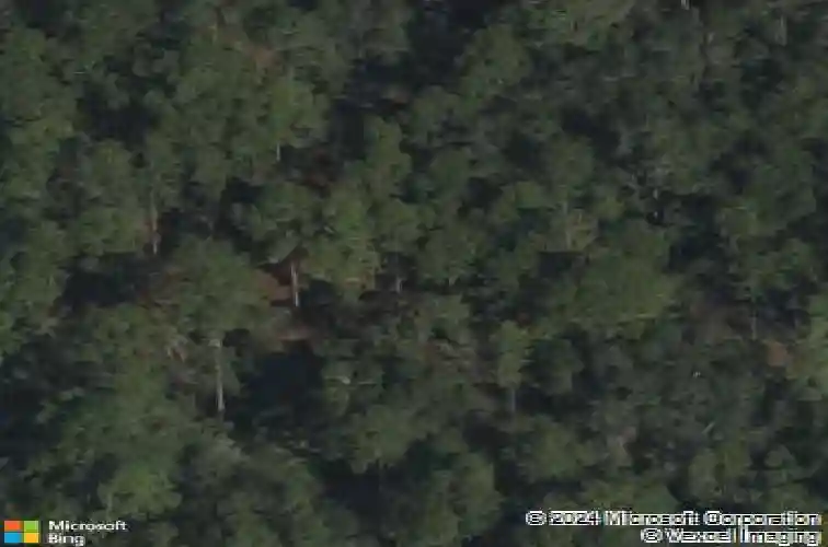  winter haven,  FL 33884