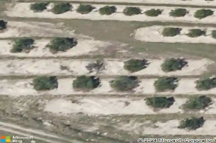  haines city,  FL 33844