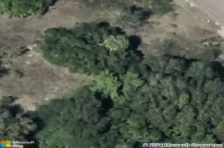  haines city,  FL 33844