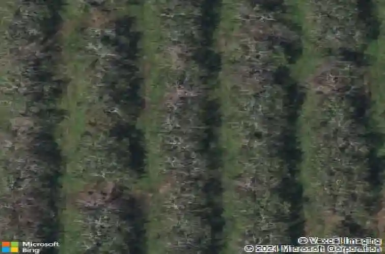  bartow,  FL 33830