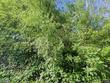 400 roberts rd, colusa,  CA 95932