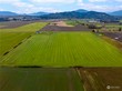 0 xxx dahlstedt road, burlington,  WA 98233