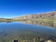 000 groundhog reservoir road # pond rock elk & cattle, dolores,  CO 81323