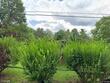 1407 stoney lonesome rd, clarion,  PA 16242