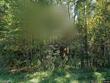 169 skippers lndg, manson,  NC 27553