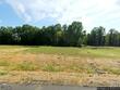 227 cheshire farm drive, smithfield,  NC 27577