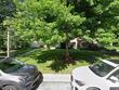 5702 visitation way, baltimore,  MD 21210