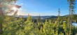 nhn old georgetown road, anaconda,  MT 59711