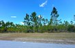 lot 17 wide water cir, wewahitchka,  FL 32465