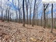tbd old chestnut mountain road, newland,  NC 28657