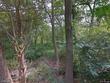 100 cedar street, w warwick,  RI 02893