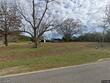 10135 s county road 59, midland city,  AL 36350