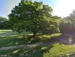 3706 dorchester rd, baltimore,  MD 21215