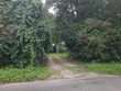  bushnell,  FL 33513