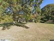  colts neck,  NJ 07722