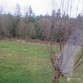  marysville,  WA 98270