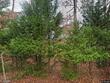 2856 nutbush rd, henderson,  NC 27537