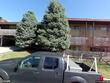4511 headwood dr apt 5
                                ,Unit Apt 5, kansas city,  MO 64111
