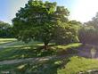 3706 dorchester rd, baltimore,  MD 21215