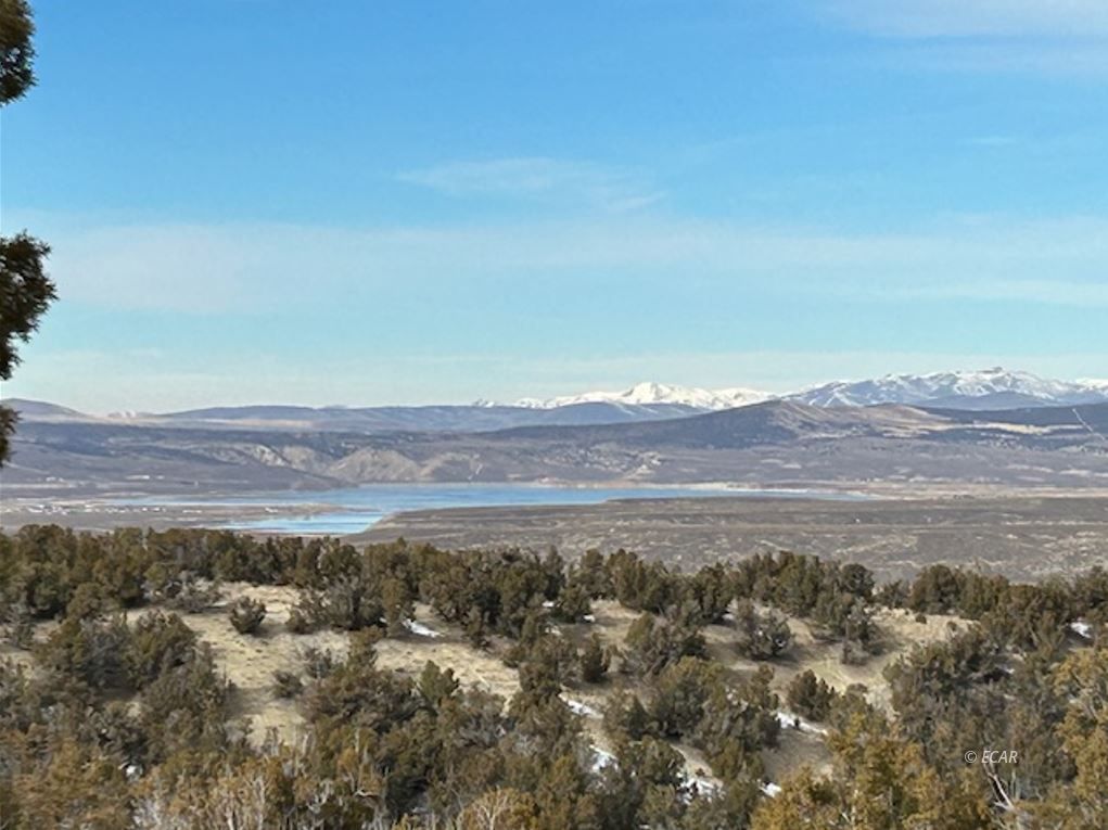 lee road road, spring creek,  NV 89815