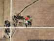  oberlin,  OH 44074