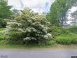 155 lessner rd, damariscotta,  ME 04543